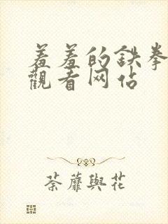 羞羞的铁拳免费观看网站