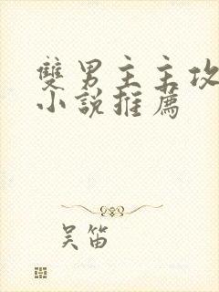 双男主主攻文类小说推荐