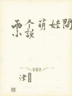 两个萌娃闹九州小说