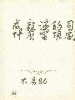 成毅演的司凤是什么电视剧