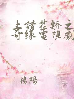 上错花轿之三嫁奇缘电视剧全集免费