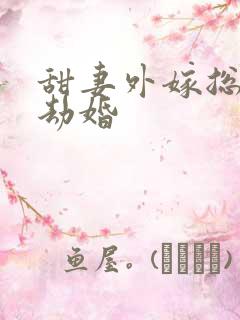 甜妻外嫁总裁要劫婚