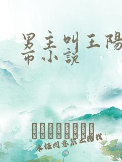 男主叫王阳的都市小说