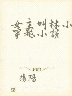 女主叫林小渔的穿越小说