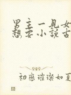 男主一见女主就想要小说古言