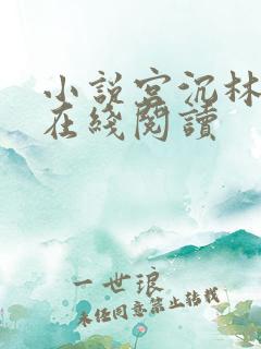 小说宫沉林知意在线阅读