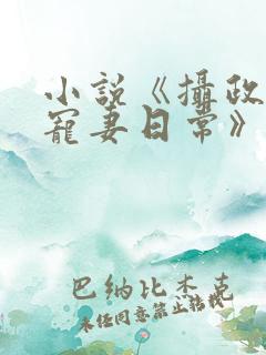 小说《摄政王的宠妻日常》