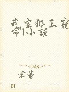 我家狐王宠妻如命l小说