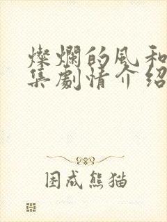 灿烂的风和海分集剧情介绍