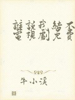 谁说我结不了婚电视剧免费观看