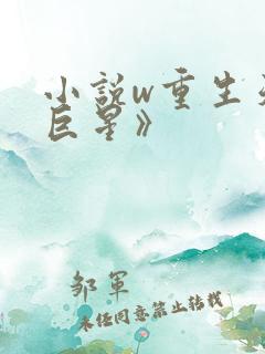 小说w重生天王巨星》