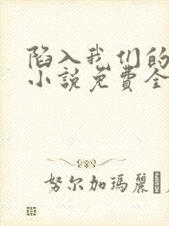 陷入我们的热恋小说免费全本阅读