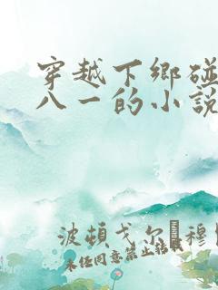 穿越下乡碰到胡八一的小说