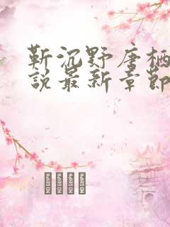 靳沉野唐栖雾小说最新章节