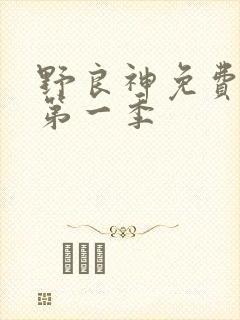 野良神免费观看第一季