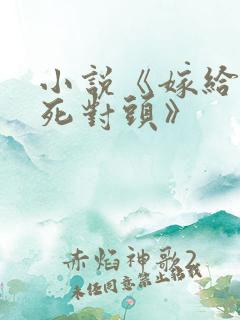 小说《嫁给亲爹死对头》
