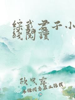 综武君子小说在线阅读