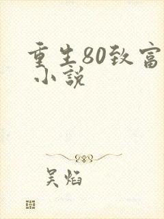 重生80致富记 小说