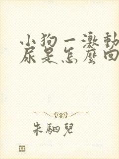 小狗一激动就漏尿是怎么回事