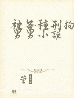 被各种刑拘调教男男小说