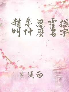 赵梦思霍总小说叫什么名字