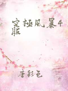 究极风暴4 正版