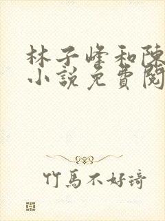 林子峰和陈欣欣小说免费阅读