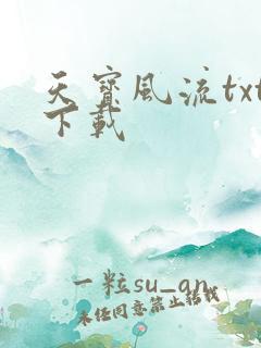 天宝风流txt下载