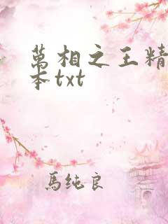 万相之王精校全本txt