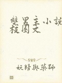 双男主小说穿书校园文