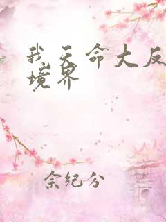 我天命大反派的境界