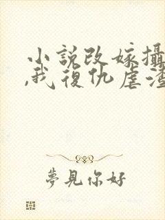 小说改嫁摄政王,我复仇虐渣妹