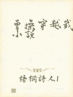 曹操穿越武大郎小说