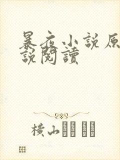 暴夜小说原著小说阅读