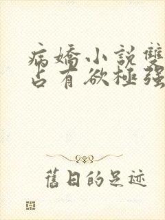 病娇小说双男主占有欲极强