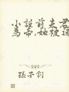 小说前夫君登基为帝,她被逼和离盛妩在线