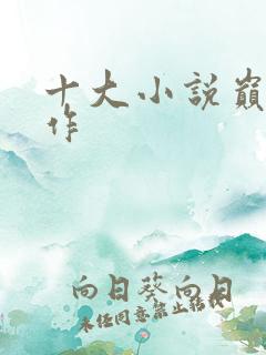 十大小说巅峰神作