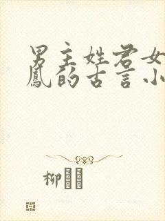 男主姓君女主姓凤的古言小说