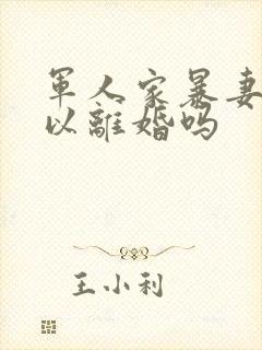 军人家暴妻子可以离婚吗