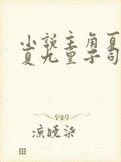 小说主角夏天大夏九皇子司马兰