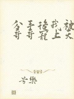 分手后我被渣男哥哥宠上天完整版