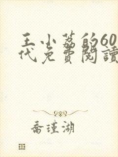 王小荔的60年代免费阅读全文最新章节