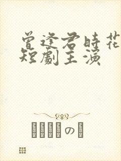 曾逢君时花照眼短剧主演