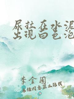 尿拉在水泥地上出现白色泡沫