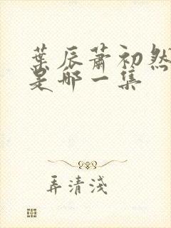 叶辰萧初然离婚是哪一集