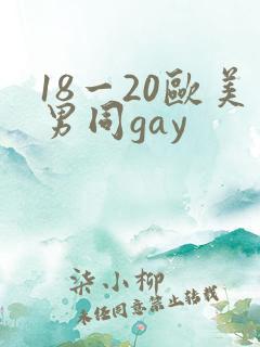 18一20欧美男同gay