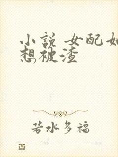 小说 女配她只想被渣