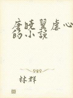 唐晓翼虐心虐身的小说