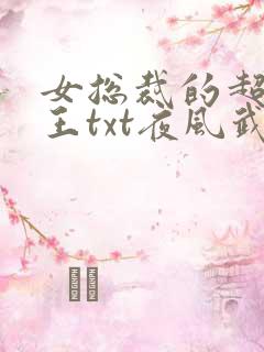 女总裁的超级兵王txt夜风武