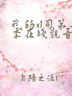 我的xl司第二季在线观看免费高清